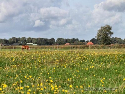 Holiday house Cottage near Bourtange with Hot Tub - Environment photo 28