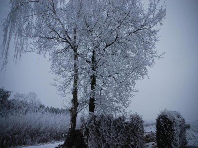 Holiday house Cottage near Bourtange with Hot Tub - Environment photo 31