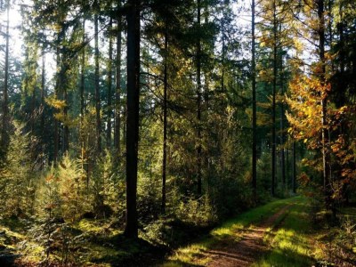 Holiday house Cottage near Bourtange with Hot Tub - Environment photo 32