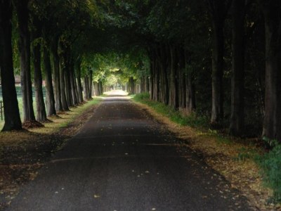 Holiday house Cottage near Bourtange with Hot Tub - Environment photo 33