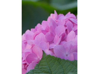 Holiday house Oberland 2 - Environment photo 36