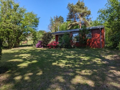 Holiday house Werder/Havel: Idyllic summer house near a lake - Outdoor photo 8