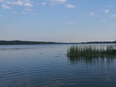 Holiday house Werder/Havel: Idyllic summer house near a lake - Environment photo 17