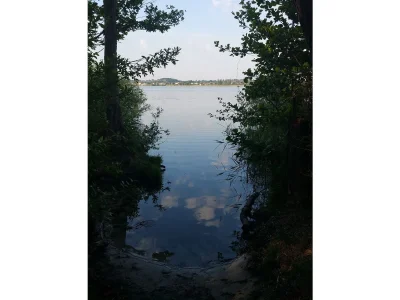 Holiday house Werder/Havel: Idyllic summer house near a lake - Environment photo 18