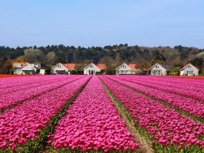 Holiday house Stern Comfort - Environment photo 13