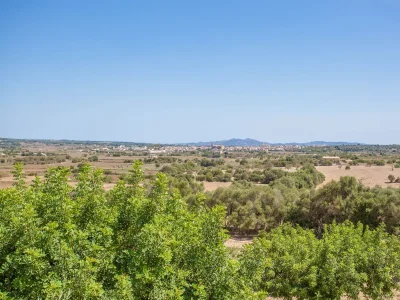 Villa Sa Font - Environment photo 50