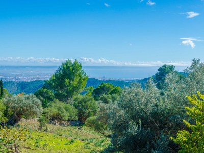 Villa Sobreamunt - Environment photo 61