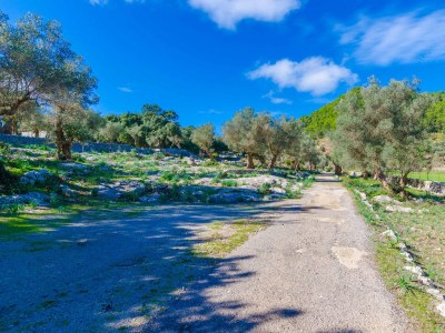 Villa Sobreamunt - Environment photo 62