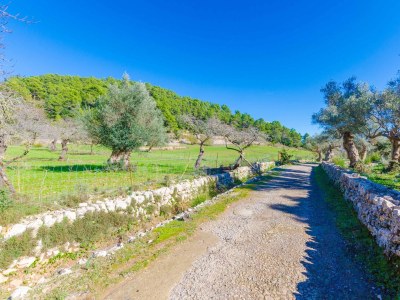 Villa Sobreamunt - Environment photo 63