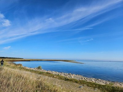 Holiday house 6 person holiday home in Hadsund-By Traum - Outdoor photo 35