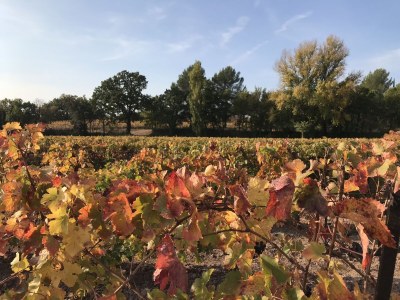 Villa La Bastide - Environment photo 37