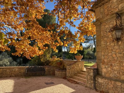 Villa La Bastide - Environment photo 39