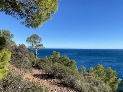 Villa La Bastide - Environment photo 40