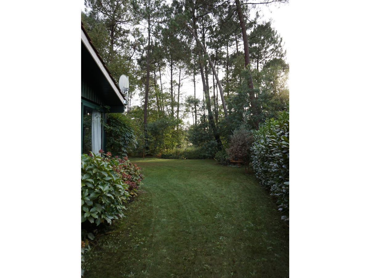 Holiday house Villa Mimosa - Outdoor photo 2