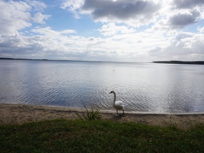 Holiday house Villa Mimosa - Environment photo 22