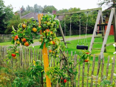 Holiday house Hygge Hus - Outdoor photo 6