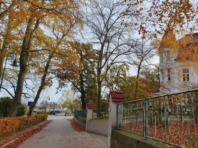 Holiday apartment Seepark "Carpe Diem" - Environment photo 21