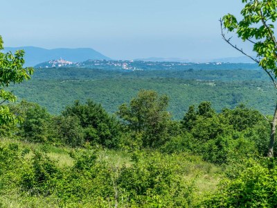 Villa Villa Mala Kopa - Environment photo 40