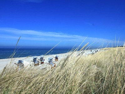 Holiday house Strandvilla "Dolce Vita und Meer - Environment photo 33