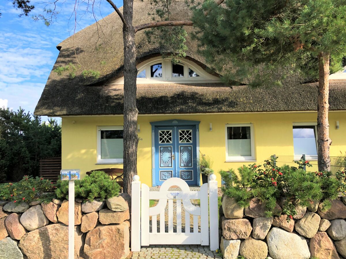 Holiday house Wede 4 - Outdoor photo 2