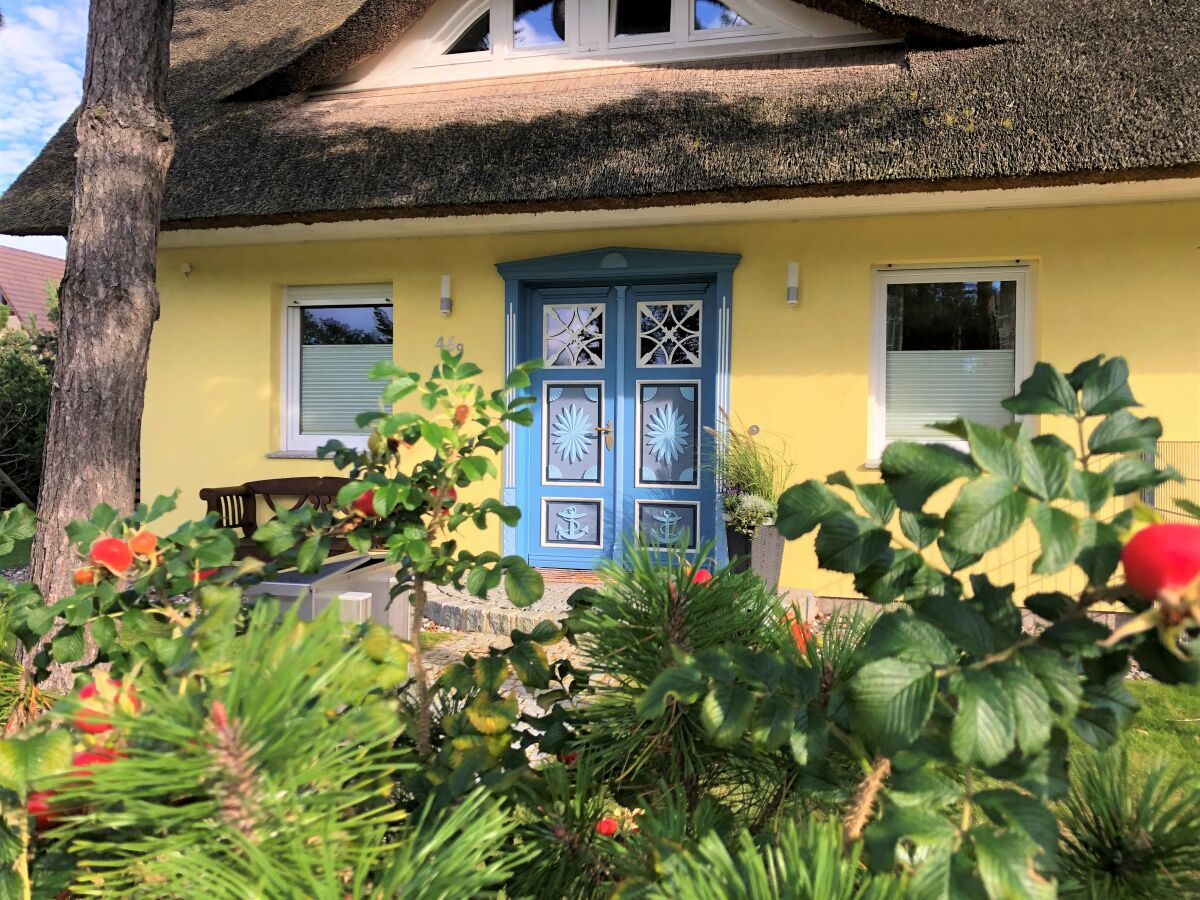 Holiday house Wede 4 - Outdoor photo 3