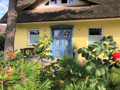 Holiday house Wede 4 - Outdoor photo 3