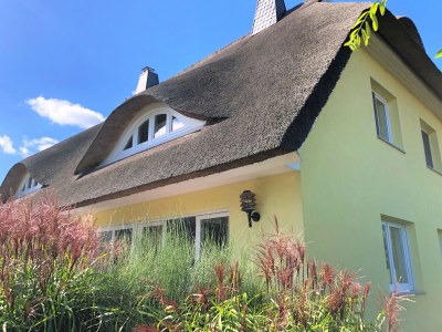 Holiday house Wede 4 - Outdoor photo 7