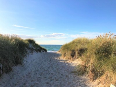 Holiday house Wede 4 - Environment photo 23