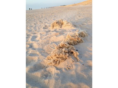 Holiday house Wede 4 - Environment photo 30