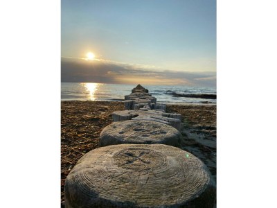 Holiday house Wede 4 - Environment photo 32