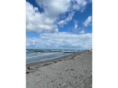 Holiday house Wede 4 - Environment photo 35