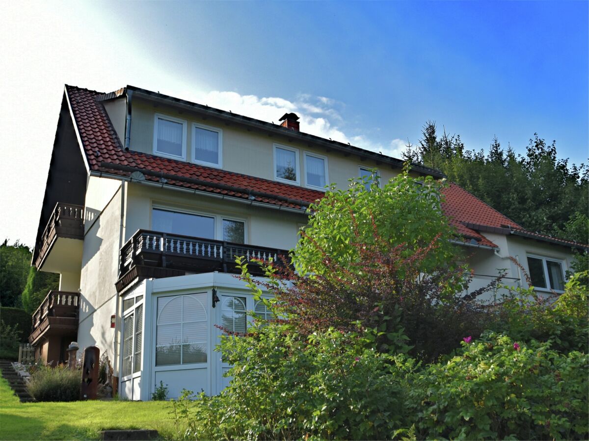 Holiday house Gruppen- Ferienhaus in Wieda