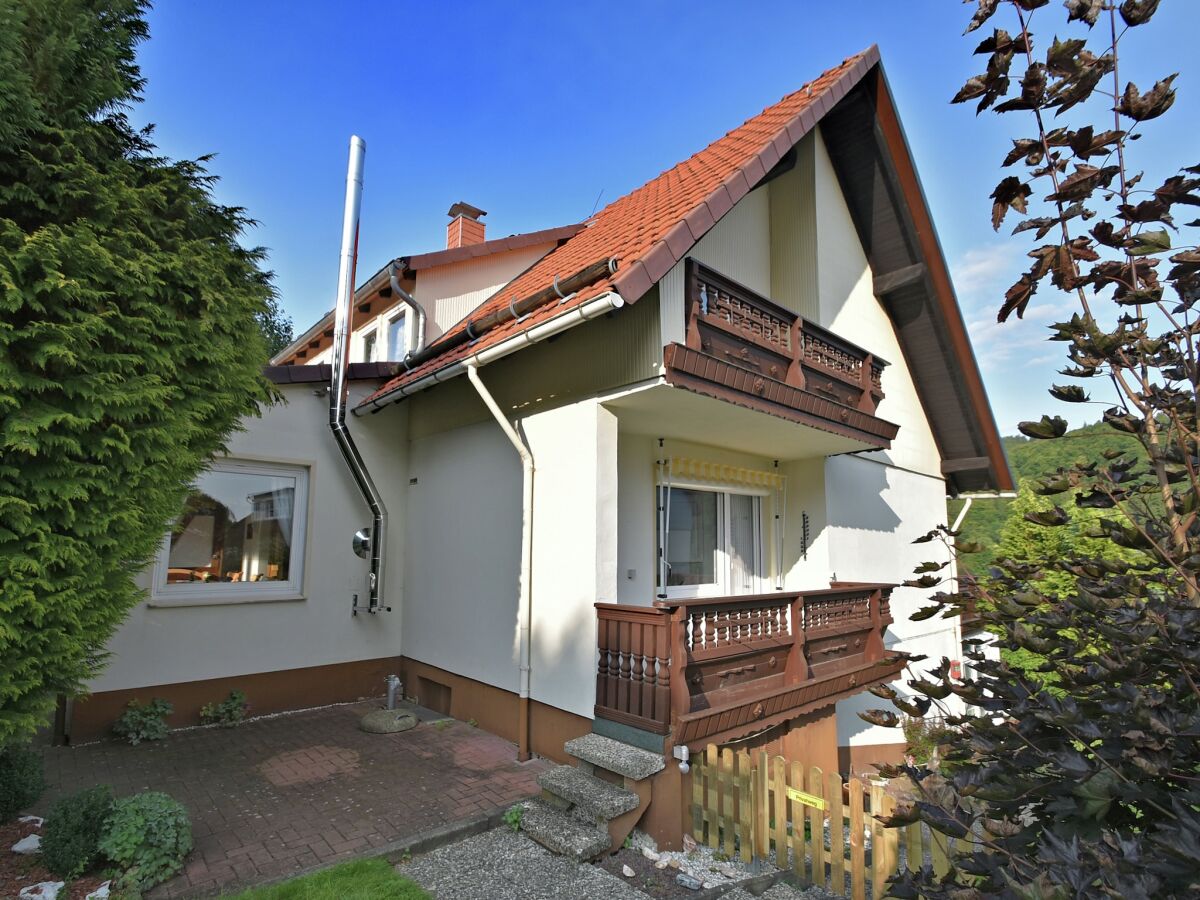Holiday house Gruppen- Ferienhaus in Wieda - Outdoor photo 3