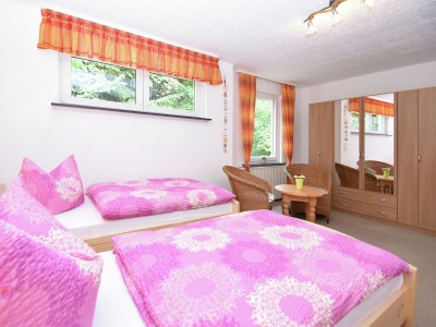 Holiday house Gruppen- Ferienhaus in Wieda - Features photo 17