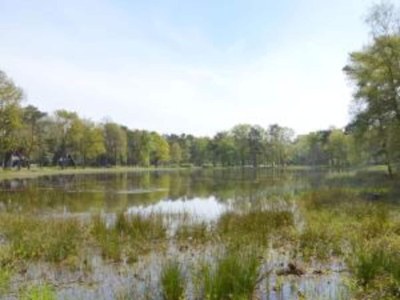 Holiday house Chalet in Stramproy am Wald für 5 Von Belvilla - Environment photo 18