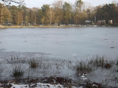 Holiday house Chalet in Stramproy am Wald für 5 Von Belvilla - Environment photo 21