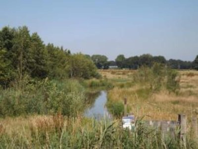 Holiday house Chalet in Stramproy am Wald für 5 Von Belvilla - Environment photo 23