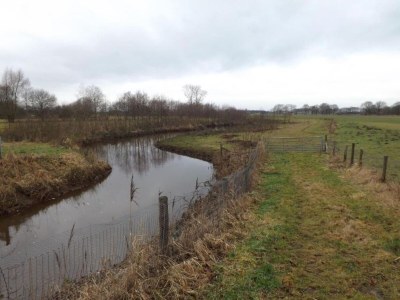 Holiday house Chalet in Stramproy am Wald für 5 Von Belvilla - Environment photo 24