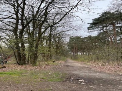 Holiday house Chalet in Stramproy am Wald für 5 Von Belvilla - Environment photo 26