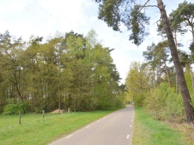 Holiday house Chalet in Stramproy am Wald für 5 Von Belvilla - Environment photo 27