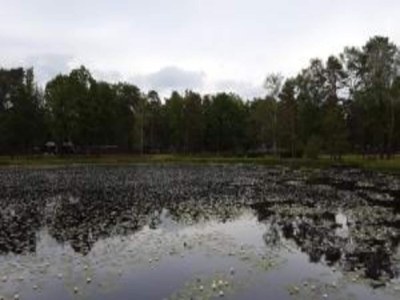 Holiday house Chalet in Stramproy am Wald für 5 Von Belvilla - Environment photo 30