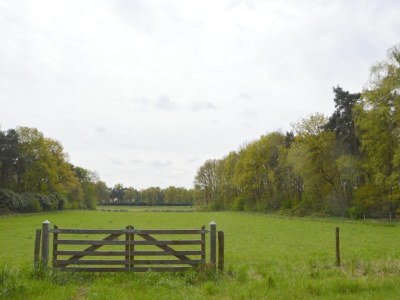 Holiday house Chalet in Stramproy am Wald für 5 Von Belvilla - Environment photo 32