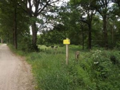 Holiday house Chalet in Stramproy am Wald für 5 Von Belvilla - Environment photo 33