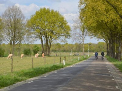 Holiday house Chalet in Stramproy am Wald für 5 Von Belvilla - Environment photo 35