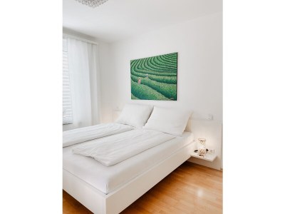 Apartment with lake view - Features photo 10