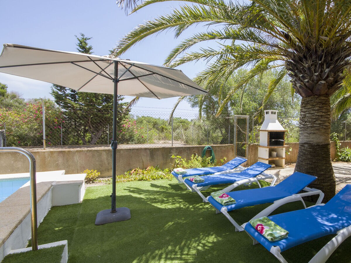 Finca Ref. 50 - Outdoor photo 3