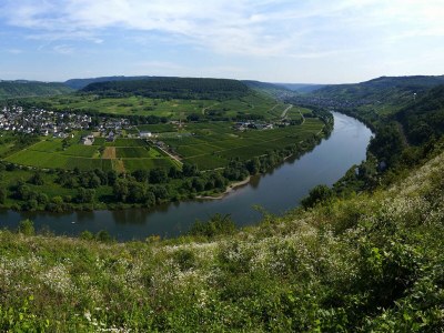 Holiday apartment Brautrock - Environment photo 14