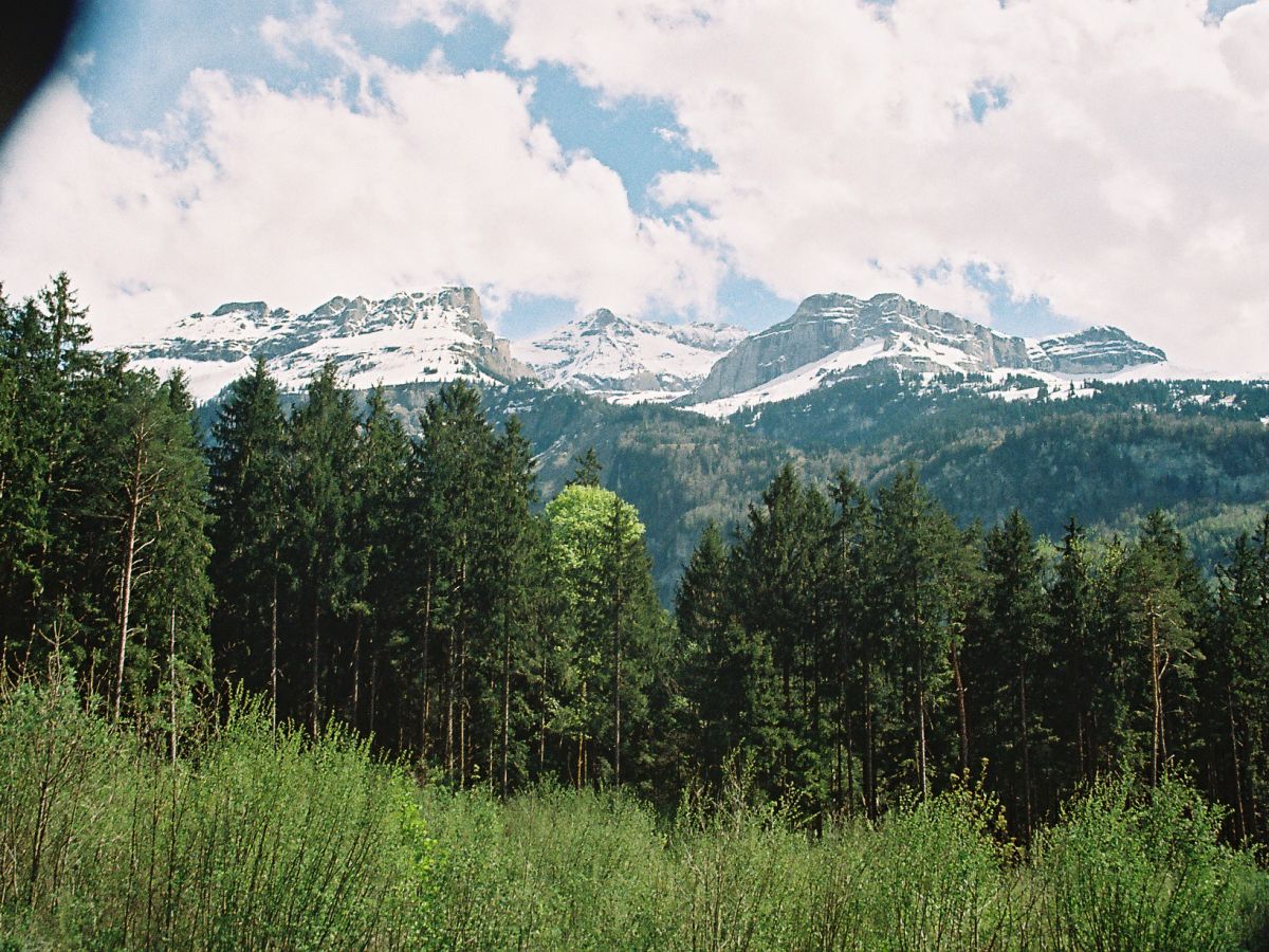 Holiday apartment Sunnechischtli Brienz - Outdoor photo 4