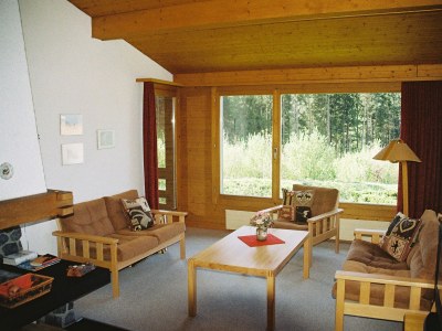 Holiday apartment Sunnechischtli Brienz - Features photo 6