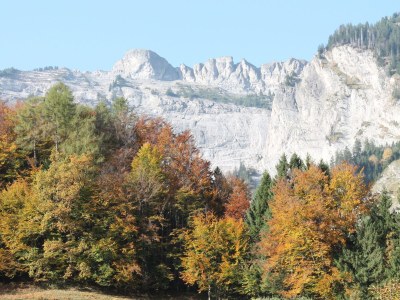 Holiday apartment Sunnechischtli Brienz - Environment photo 15